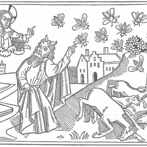 5th Plague of Egypt, Diseased Livestock 5th Plague of Egypt, Diseased Livestock
