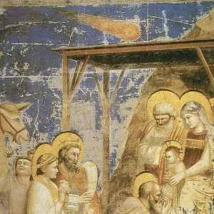 Adoration of the Magi, Halley's Comet Adoration of the Magi, Halley's Comet