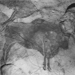 Altamira Cave Paintings