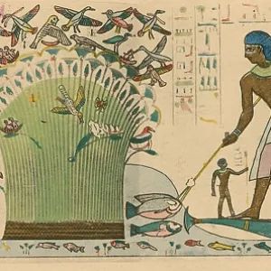 Ancient Egypt, Bird Hunting Ancient Egypt, Bird Hunting