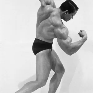 Arnold Schwarzenegger as a Bodybuilder, Actor, Governor of California