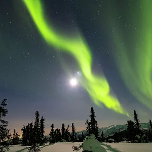 Aurora Borealis, White Mountains of Alaska