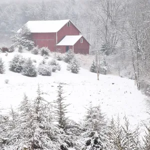 Barn in Winter