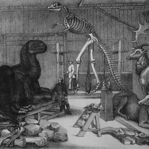 Le studio de Benjamin Hawkins du parc central.