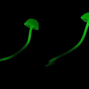 Bioluminescent Fungi