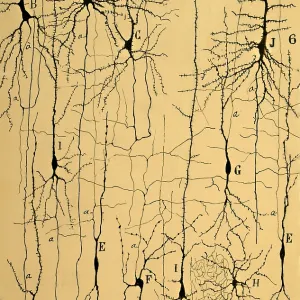 : Science