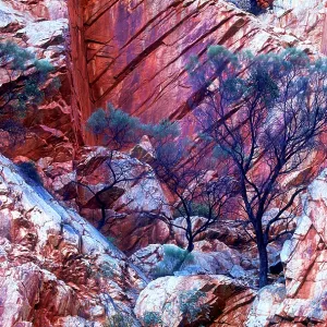 Canyonlands Print, Australian Outback Landscape Canyonlands Print, Australian Outback Landscape