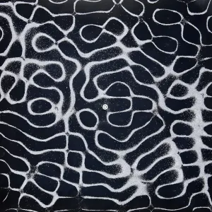 Chladni Oscillations, Sand On Metal Plate, Physics Chladni Oscillations, Sand On Metal Plate, Physics