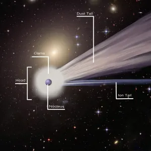 Comet with Parts Labeled