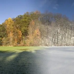 Composite of Fall and Winter Composite of Fall and Winter