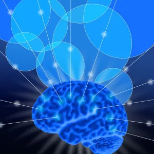 Conceptual Brain, Illustration