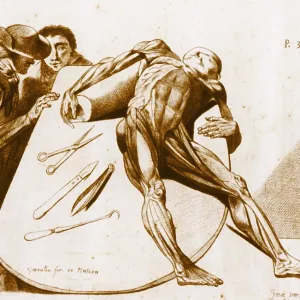 Contemplating a Cadaver