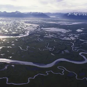 Copper River Delta