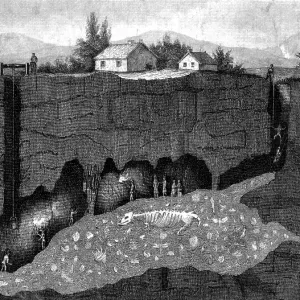 Dinosaur Excavation Site