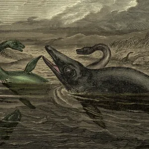 Des reptiles ressemblant à des dinosaures en train de nager, illustration. Des reptiles ressemblant à des dinosaures en train de nager, illustration.