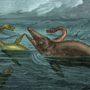 Des reptiles ressemblant à des dinosaures nageant, illustration.
