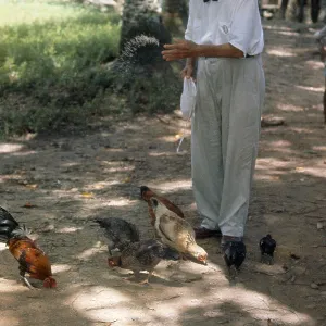 Dr Albert Schweitzer in Gabon, Nobel Peace Prize Winner Laureate. Know for humanitarian work Dr Albert Schweitzer in Gabon, Nobel Peace Prize Winner Laureate. Know for humanitarian work