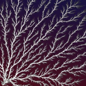 Electron Tree or Lichtenberg Figure