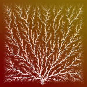 Electron Tree or Lichtenberg Figure