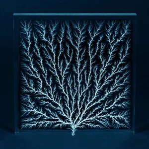 Electron Tree or Lichtenberg Figure