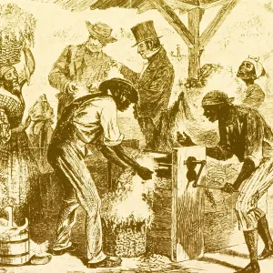 Eli Whitney, Cotton Gin, 1869