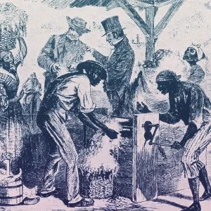 Eli Whitney, Cotton Gin, 1869