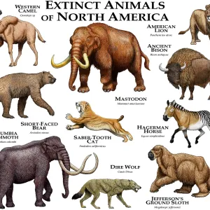 Extinct Animals of North America