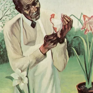 George W Carver, American Botanist, Black History