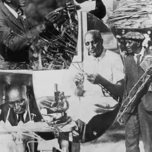 George W. Carver, American Scientist