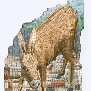 The Golden Ass