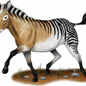 Hagerman horse