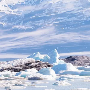 Icebergs Icebergs