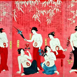 Japanese Triptych, Development of Fetus