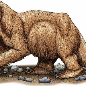 Jefferson's ground sloth