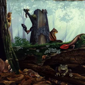 Life in a dead tree