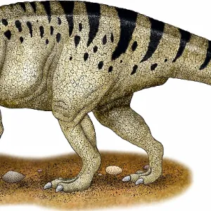 Dinosaure à bec en forme de canard.
