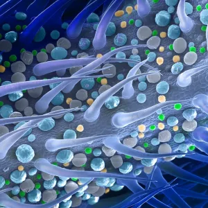 Marijuana Female Flower, scanning electron micrograph