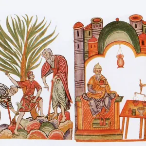 Medieval Arabic Pharmacists