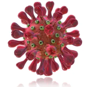 MERS Coronavirus