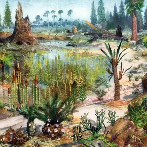 Paysage Mésozoïque.