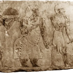 Muscular Dystrophy, Ancient Egypt Muscular Dystrophy, Ancient Egypt