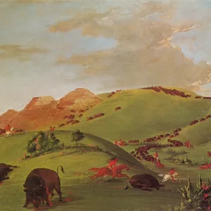 Native American Indians Buffalo Hunt, 1832 Native American Indians Buffalo Hunt, 1832