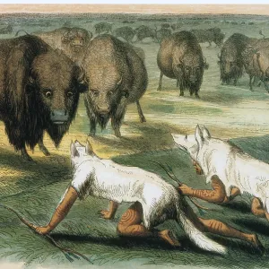 Native Americans Camouflaged for Buffalo Hunt