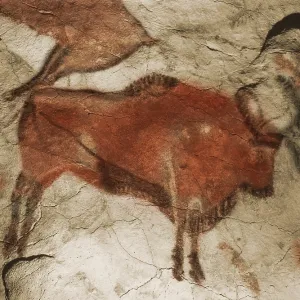Paleolithic Cave Painting of a Bison, Altamira, Spain