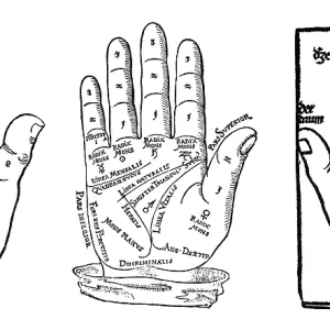 Palmistry, Palm Lines, 16th Century