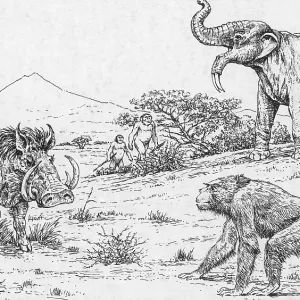 Prehistoric Extinct Animals