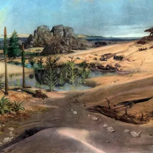 Paysage préhistorique, Trias inférieur. Paysage préhistorique, Trias inférieur.