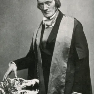 Print of Richard Owen, English Paleontologist