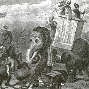 Riding War Elephant Riding War Elephant