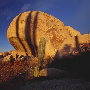 Rock Formation and Cardon Cactus Print Rock Formation and Cardon Cactus Print